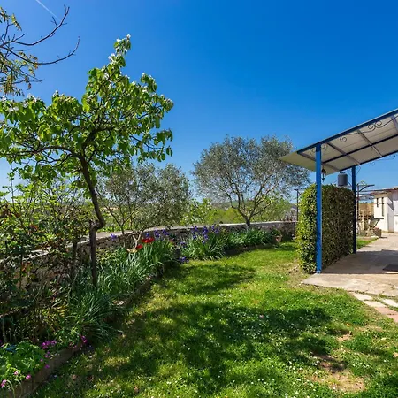 House Gioia Cristina Holiday home *