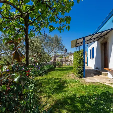 House Gioia Cristina Holiday home *